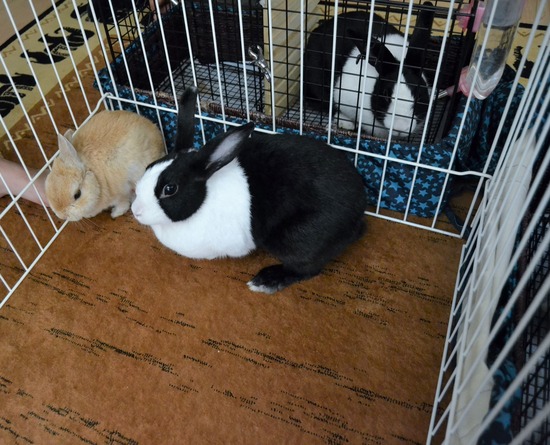 211113okkiDSC_1294 (2)