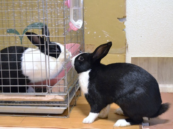 210723 オビワンDSC_2866 (2)