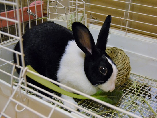 210810 いとDSC_2090 (2)