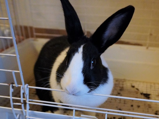 221230みるDSC04110