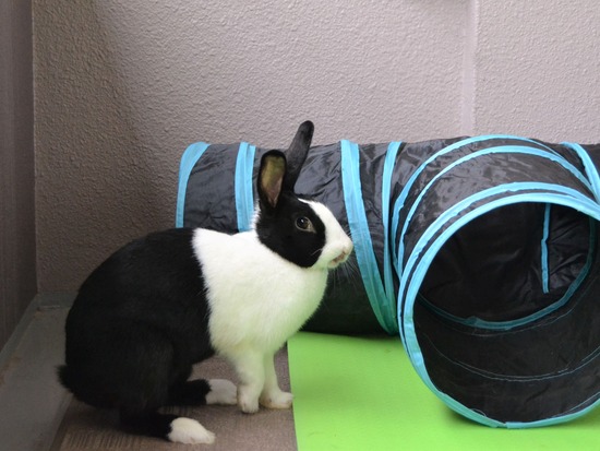 210905 こまDSC_2277 (2)