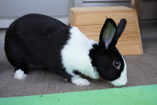 20230429みるDSC06830