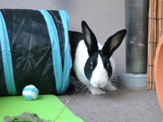 210905 itoDSC_2817 (2)