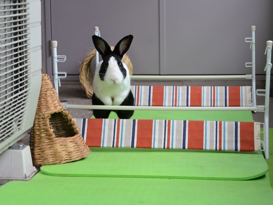 210912 powa DSC_2364 (2)