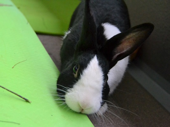 210912 bi2 DSC_0086 (2)