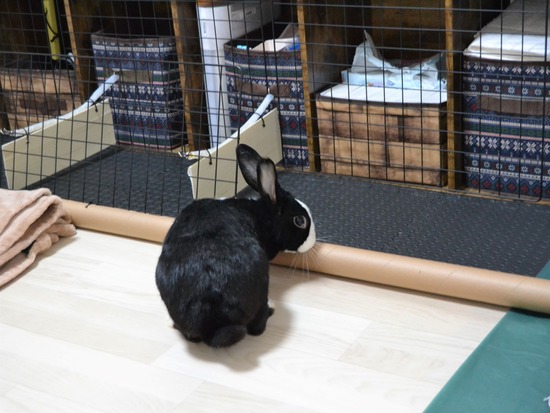 211107 b2 DSC_1553 (2)