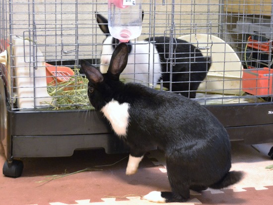 210723 オビワンDSC_2888 (2)