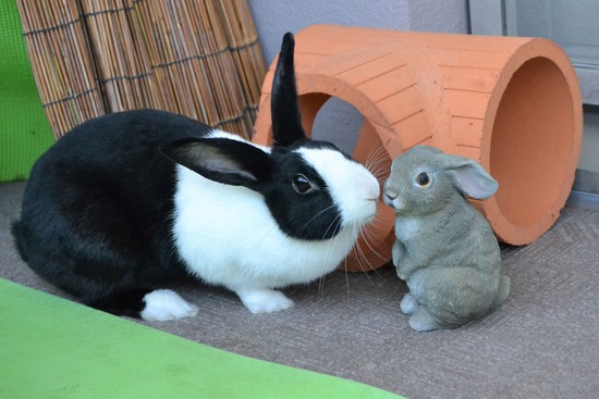 211212 koma DSC_1551 (2)