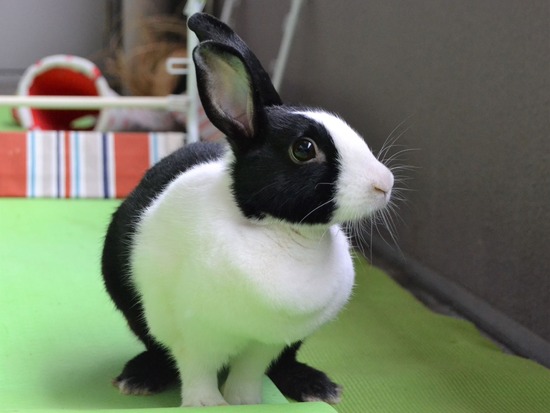 210905 okkiDSC_2455 (2)