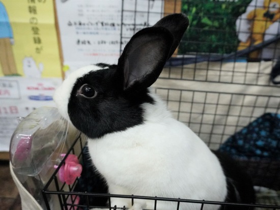 230114るりDSC04777