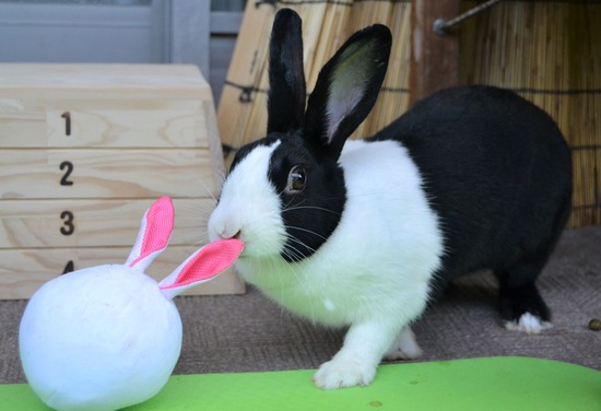 210905 itoDSC_2803 (2)