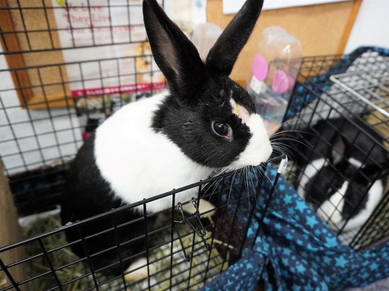 230114まつDSC04764