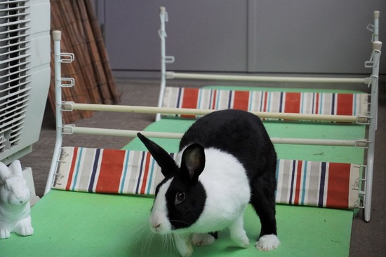 20230429あいDSC06601 (2)