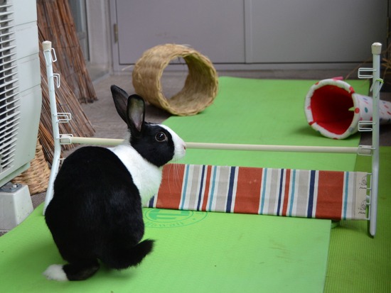 210905 こまDSC_2258 (2)