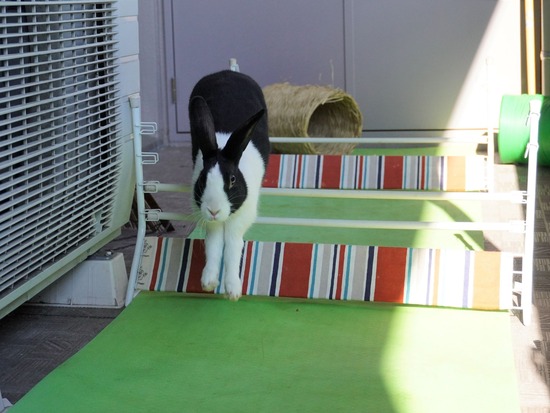 220110komaDSC02757 (2)