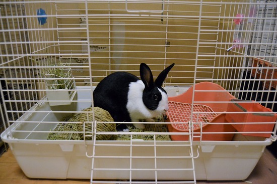 210811 いとDSC_2055 (2)