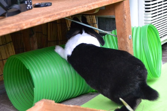 210905 itoDSC_0035 (2)