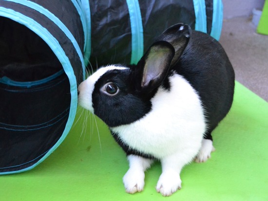 210920 b2 DSC_2062 (2)