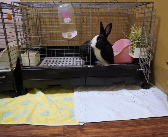 20230813こんDSC01769