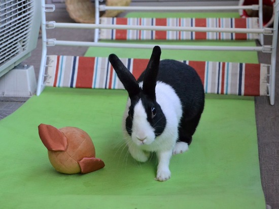 211123 komaDSC_1476 (2)