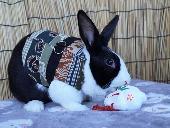 220101クッキーDSC00604 (2)