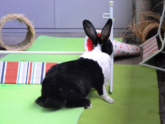 210905 itoDSC_2767 (2)