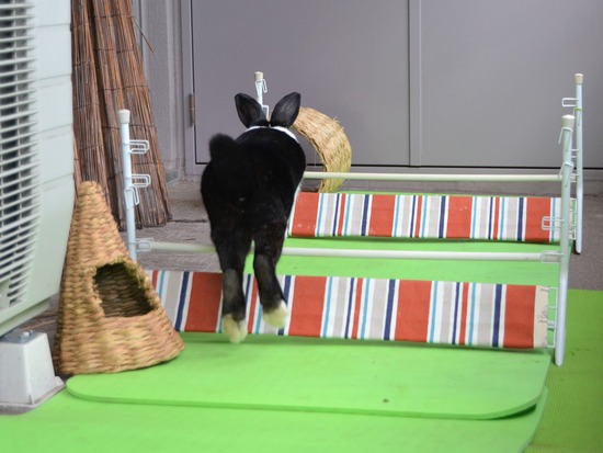 210912 powa DSC_2378 (2)