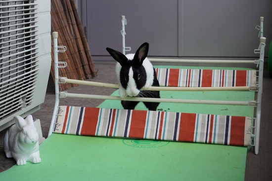 20230429あいDSC06597