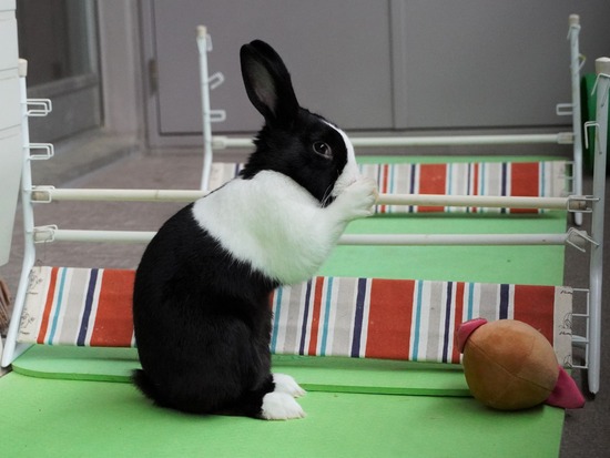 220417ビスケDSC01457 (2)