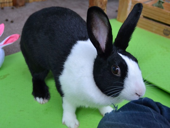 210905 itoDSC_0042 (2)