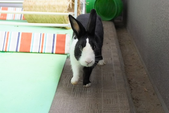 20230429こんDSC06506