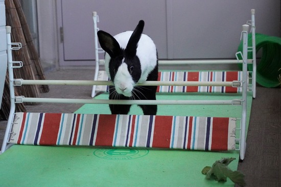 20230503くりDSC07647