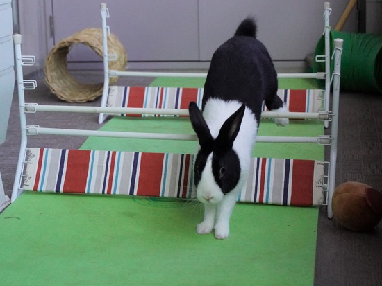 220129クッキーDSC04213 (2)