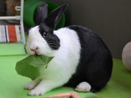 210912 powa DSC_2344 (2)