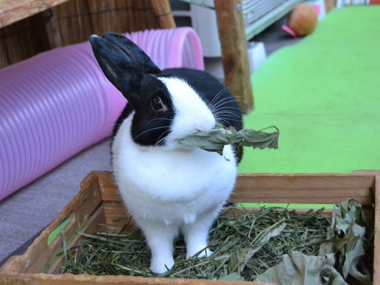 210920 okki DSC_2537 (2)