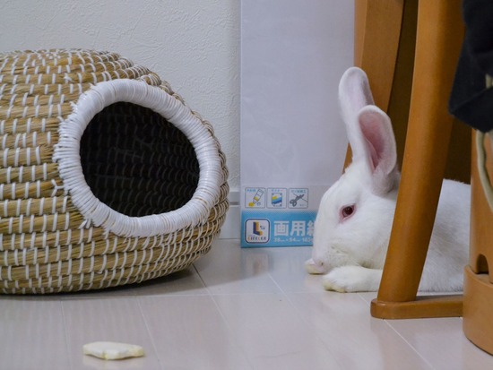 210828 ミルクDSC_2124 (2)