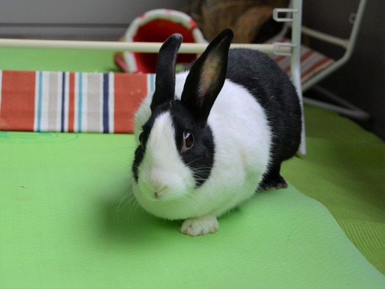 210905 おっきDSC_2355 (2)