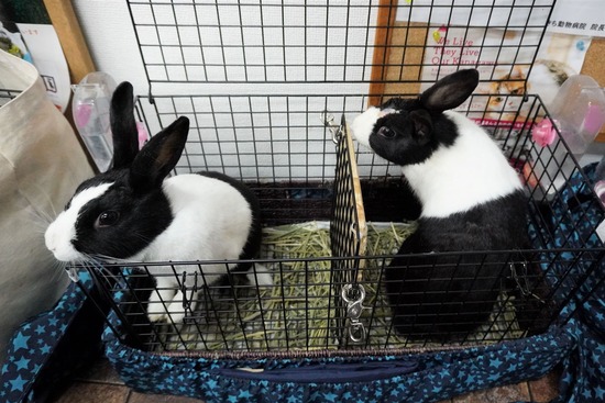 230114あい＆まつDSC04755