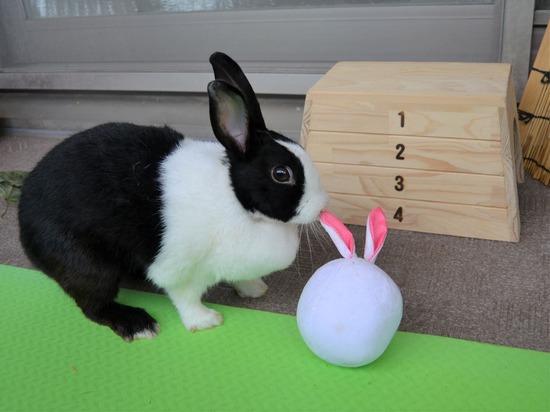 210905 おっきDSC_2313 (2)