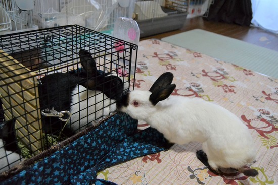 211120komaDSC_1351 (2)