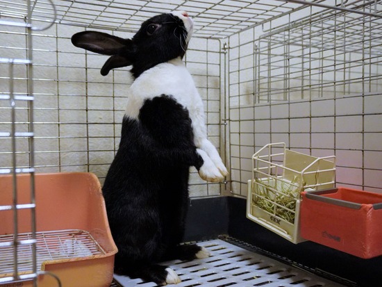 220827もなかDSC08848 (2)