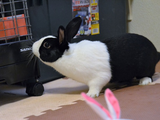 210723 ぽわDSC_2937 (2)