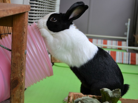 210912 powa DSC_2077 (2)