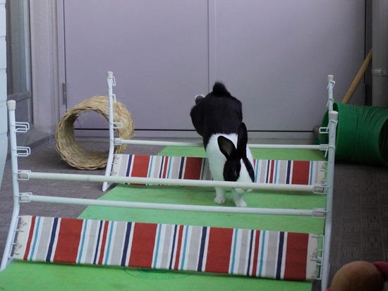 220129クッキーDSC04364 (2)