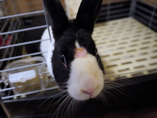 221230まつDSC04073 (2)