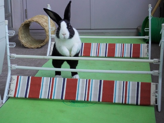 220129komaDSC04019 (2)