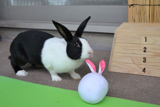 210905 こまDSC_2133 (2)