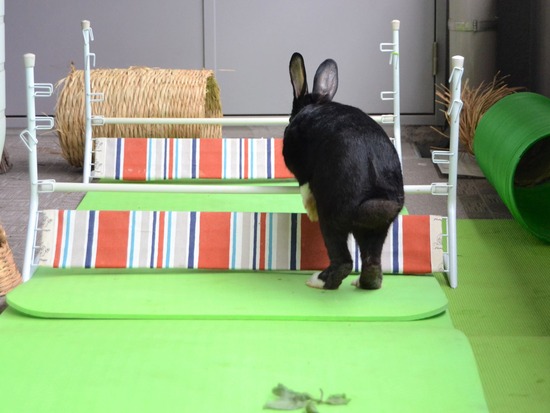 210912 obi DSC_2428 (2)