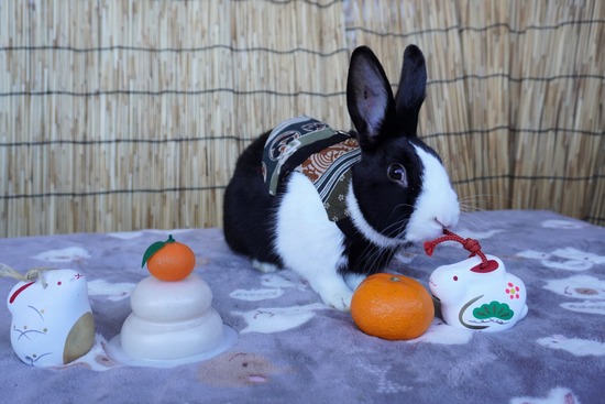 220101ビスケDSC00702 (2)