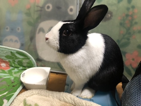 13908FED-8D0B-414F-8EC1-706332CD9A92